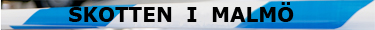 Skotten i Malm�